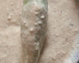 A picture of step 6 of Jalapeno poppers.