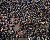 A picture of step 2 of Oven Roasted Dry Black Beans.