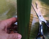 Foto langkah ke 2 dari resep Lupis Ketan Santan.
