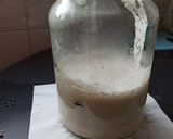 Foto del paso 8 de la receta: Masa Madre