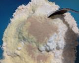 Foto langkah ke 4 dari resep Ciap Ciap Pao Isi Ayam Saus Telur Asin.