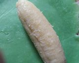 Foto langkah ke 4 dari resep Es Pisang Ijo.