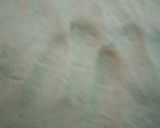 A picture of step 1 of Tandoori roti.