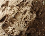 Csokitorta narancshéjjal recept fázis 5 fotója