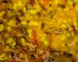 पंचरत्न दाल (Panchratn daal recipe in Hindi) रेसिपी चरण 9 फोटो