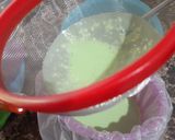 Foto langkah ke 2 dari resep Roti jala pandan.