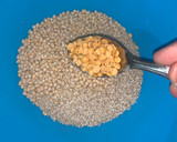 வரகு அரிசி மாம்பழ பணியாரம் ரெசிபி ஸ்டேப் 1 புகைப்படம்