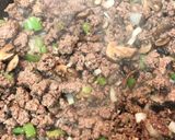 A picture of step 1 of Hamburger Stroganoff.