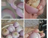 A picture of step 4 of Stuffed onion.
