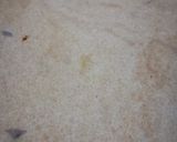 A picture of step 5 of Wholemeal onion chapati.