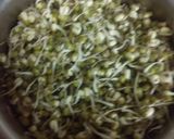 A picture of step 1 of Green sprouts.