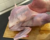 Karácsonyi egész, töltött, gesztenyés bébipulyka recept fázis 10 fotója