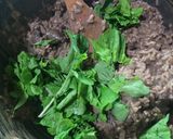 Foto del paso 5 de la receta: Risotto al tannat con hongos