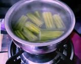 A picture of step 8 of Drumstick soup.