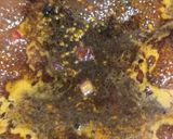 Foto del paso 2 de la receta: Ramen de Coliflor vegana a la naranja