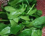Foto langkah ke 3 dari resep Orak Arik Mie Kuah Daun Gingseng.