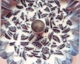 Foto langkah ke 4 dari resep Puding Oreo simple n praktis.