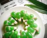 Cara Membuat Pudding Candil Singkong Pandan 8