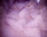 A picture of step 6 of ALU chicken Andy My new creation,.