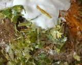 লাউ থেপলা (Lau thepla recipe in bengali) রেসিপি ধাপ - 1 ছবি