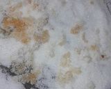 Foto del paso 2 de la receta: Budín de pan