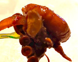 Foto del paso 5 de la receta: Camarones diablo