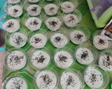 Foto langkah ke 2 dari resep Puding Semangka.