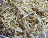 Foto langkah ke 1 dari resep Oseng Tempe & Taoge pedasss.