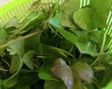 Hình bước làm 1 của món 🌱 Rau Khoai Lang Luộc
