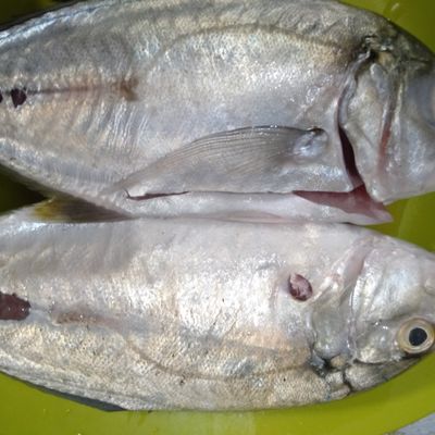 Langkah 1