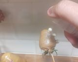 A picture of step 7 of Chocolate Dipped Strawberries.