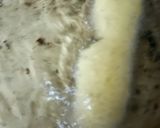 A picture of step 5 of Fafda.