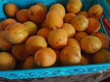 عصير المشماش ذوق خيالي