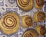 Foto langkah ke 8 dari resep Cinnamon Roll.