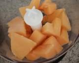 Melon sorbet recipe step 3 photo