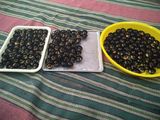 Kuker nastar coklat