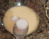 Foto del paso 2 de la receta: Pan de leche 😋