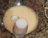 Foto del paso 2 de la receta: Pan de leche 😋