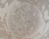 Foto del paso 2 de la receta: Falso Risotto de ceps