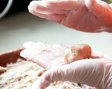Foto del paso 4 de la receta: Croquetas de pollo