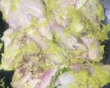 Foto langkah ke 5 dari resep Opor Ayam Gurih.