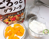 玉文芒果奇亞籽優格杯的食譜步驟4照片