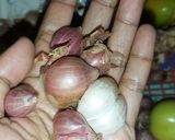 Foto langkah ke 1 dari resep Pepes jamur tiram dengan nasi.