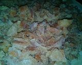 Foto del paso 3 de la receta: Cascaritas de limón y naranja 🍋🍊!!!