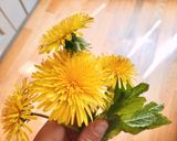 Hình bước làm 1 của món Trứng Cá Hồi Muối & Cơm Trộn Hoa Bồ Công Anh