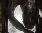 A picture of step 1 of Wet fry mudfish # theme challenge.