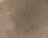 A picture of step 15 of Roti.