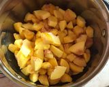 Laktóz- és gluténmentes tejszínes őszibarackkrémleves 🍑 recept fázis 1 fotója