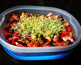 Foto del paso 3 de la receta: Ensalada de garbanzos, remolacha y brotes de brócoli 🥦