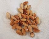Foto del paso 1 de la receta: Solomillo de Pavo tipo oriental